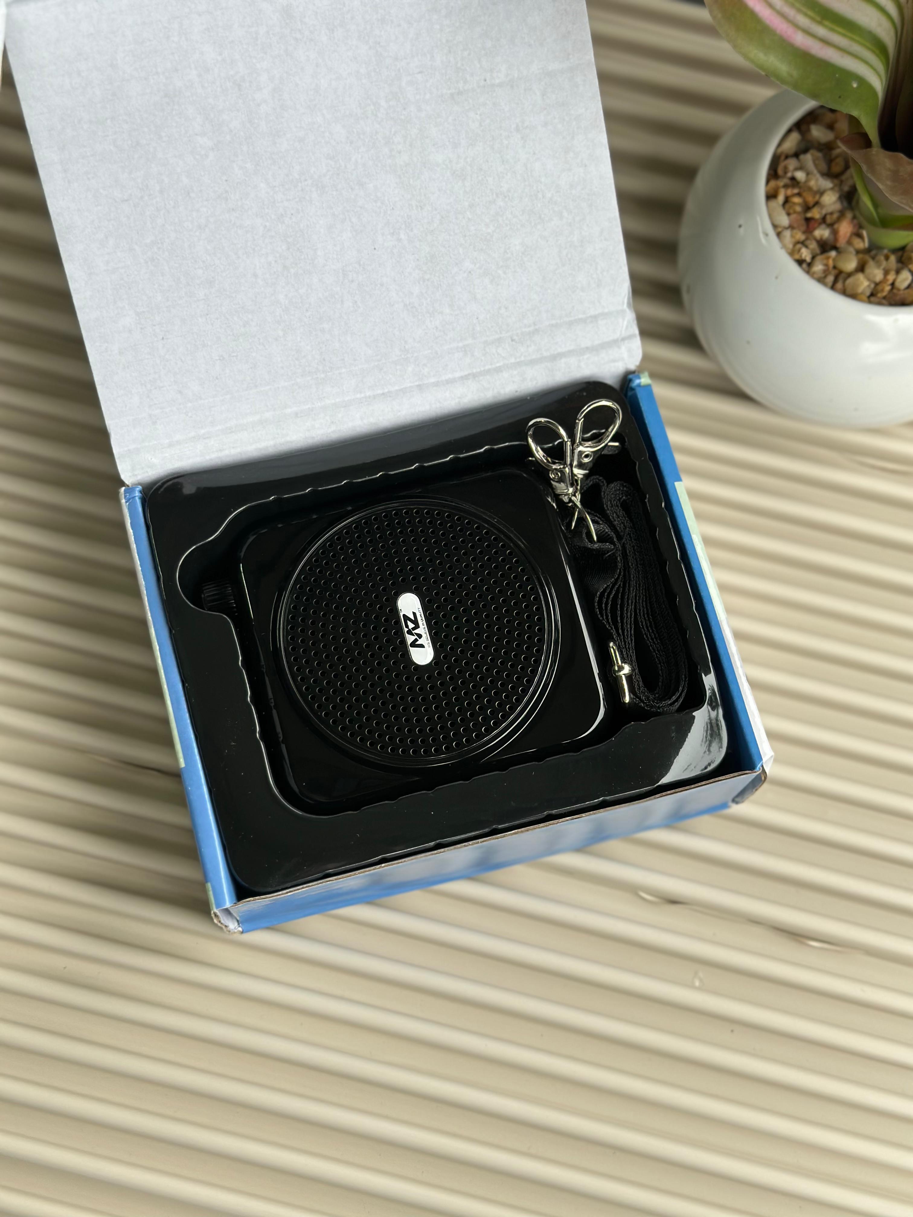 PORTABLE VOICE AMPLIFIER