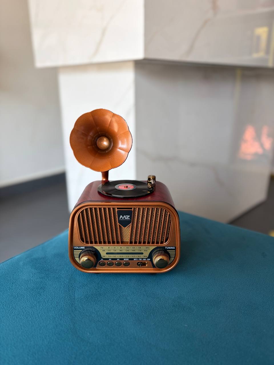 VINTAGE RADIO SPEAKER